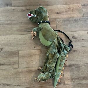 Boys Dinosaur Costume